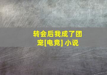 转会后我成了团宠[电竞] 小说